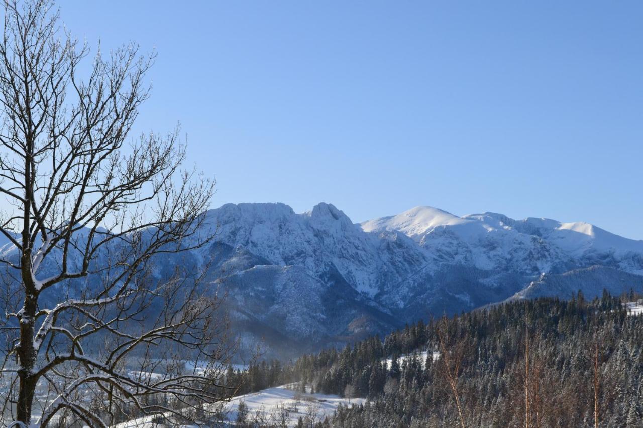Domki Widokowe Kowalski - Smith'S Wooden Challets Zakopane Ngoại thất bức ảnh